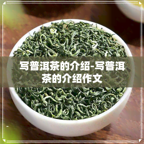 写普洱茶的介绍-写普洱茶的介绍作文