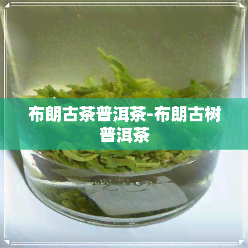 布朗古茶普洱茶-布朗古树普洱茶