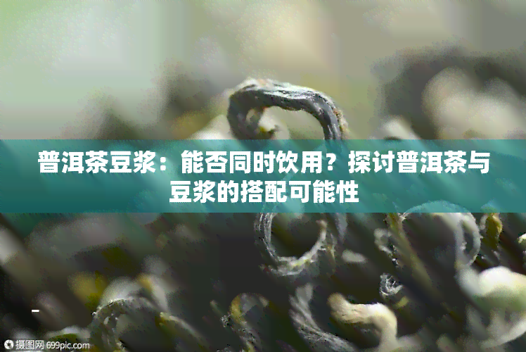 普洱茶豆浆：能否同时饮用？探讨普洱茶与豆浆的搭配可能性