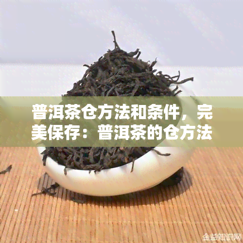 普洱茶仓方法和条件，完美保存：普洱茶的仓方法与条件解析