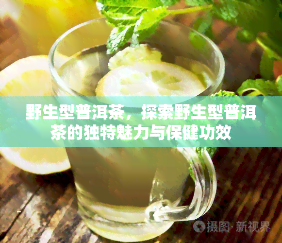 野生型普洱茶，探索野生型普洱茶的独特魅力与保健功效