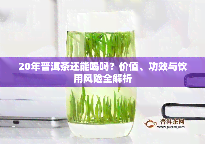 20年普洱茶还能喝吗？价值、功效与饮用风险全解析