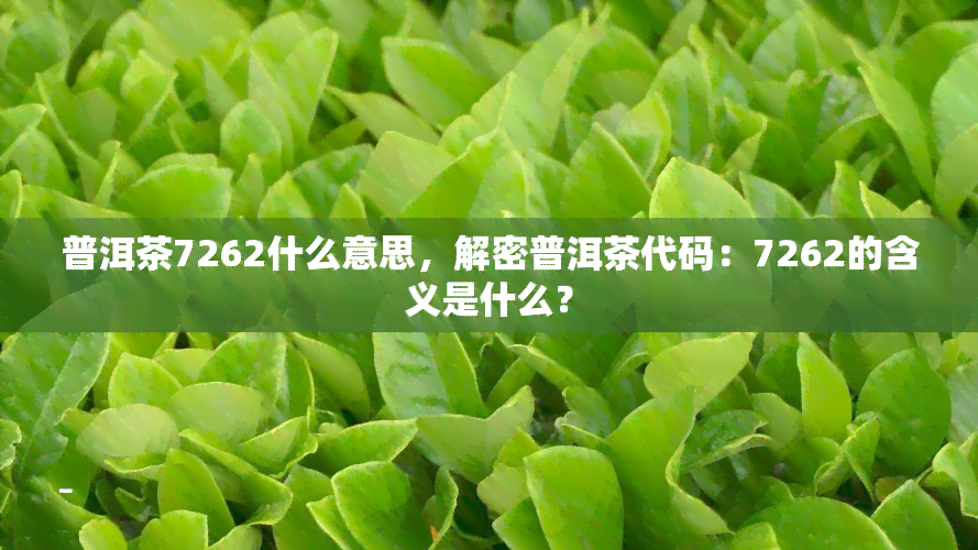 普洱茶7262什么意思，解密普洱茶代码：7262的含义是什么？