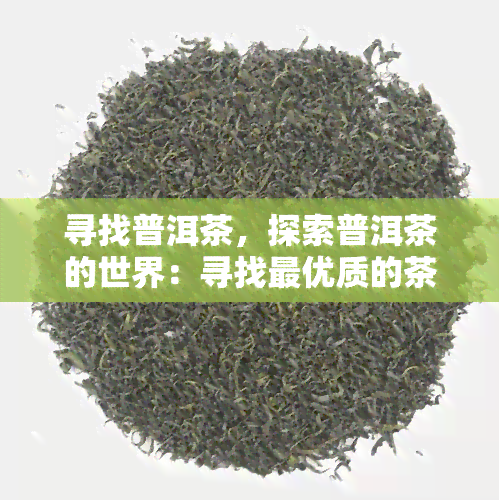 寻找普洱茶，探索普洱茶的世界：寻找更优质的茶叶