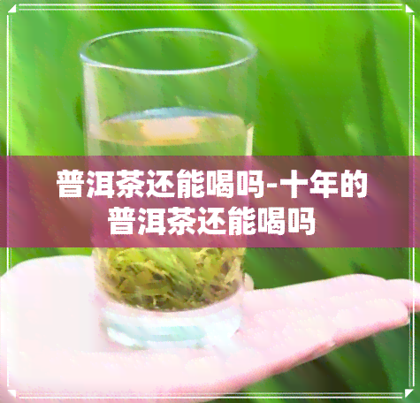 普洱茶还能喝吗-十年的普洱茶还能喝吗