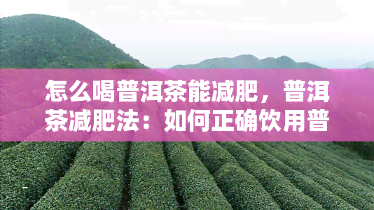 怎么喝普洱茶能减肥，普洱茶减肥法：如何正确饮用普洱茶以达到减肥效果？