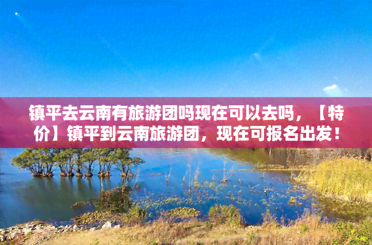 镇平去云南有旅游团吗现在可以去吗，【特价】镇平到云南旅游团，现在可报名出发！