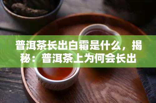 普洱茶长出白霜是什么，揭秘：普洱茶上为何会长出白色“霜”？