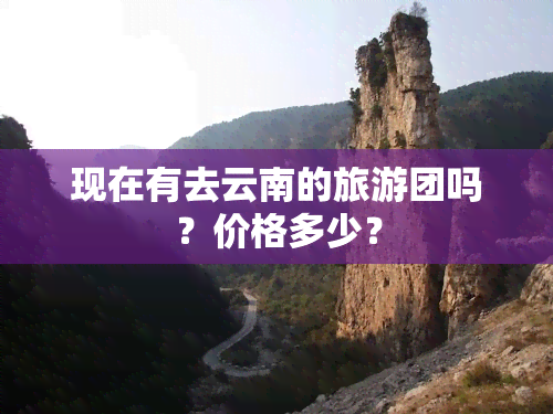 现在有去云南的旅游团吗？价格多少？