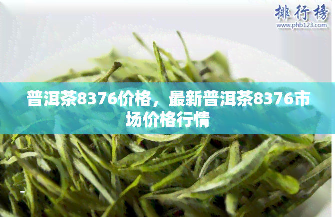 普洱茶8376价格，最新普洱茶8376市场价格行情