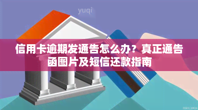 信用卡逾期发通告怎么办？真正通告函图片及短信还款指南