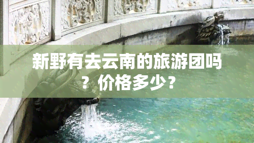 新野有去云南的旅游团吗？价格多少？