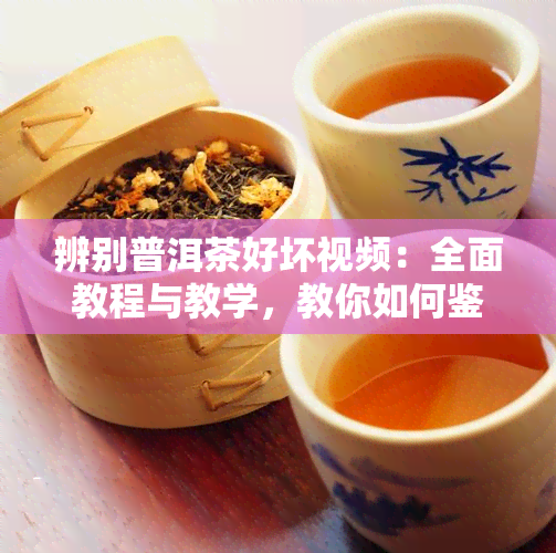 辨别普洱茶好坏视频：全面教程与教学，教你如何鉴别普洱茶的品质和好坏