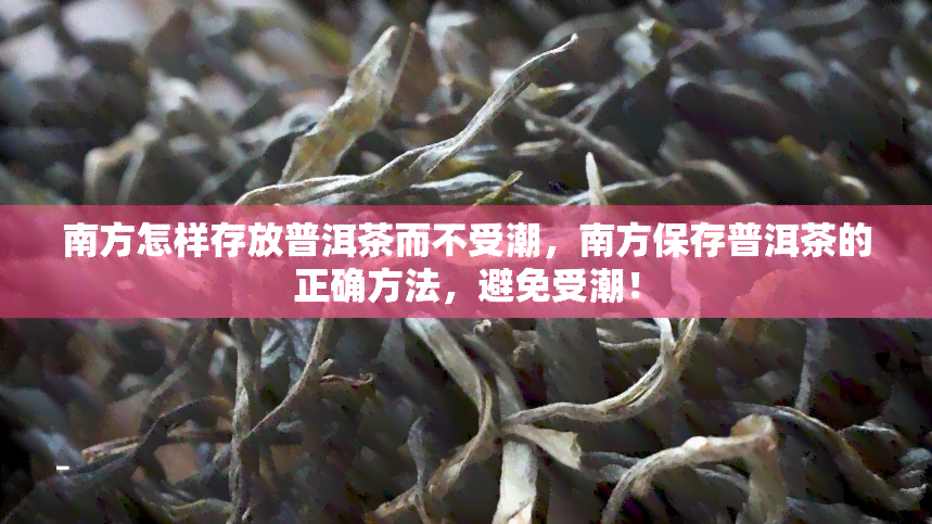 南方怎样存放普洱茶而不受潮，南方保存普洱茶的正确方法，避免受潮！