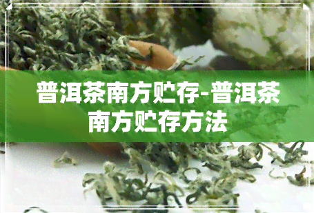 普洱茶南方贮存-普洱茶南方贮存方法