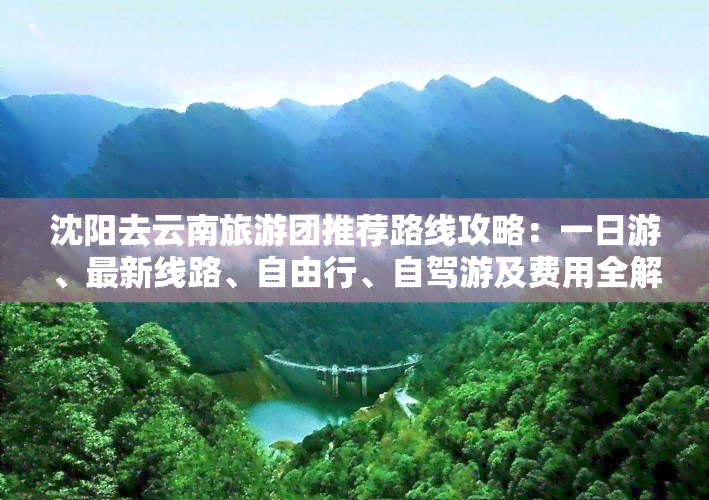 沈阳去云南旅游团推荐路线攻略：一日游、最新线路、自由行、自驾游及费用全解析