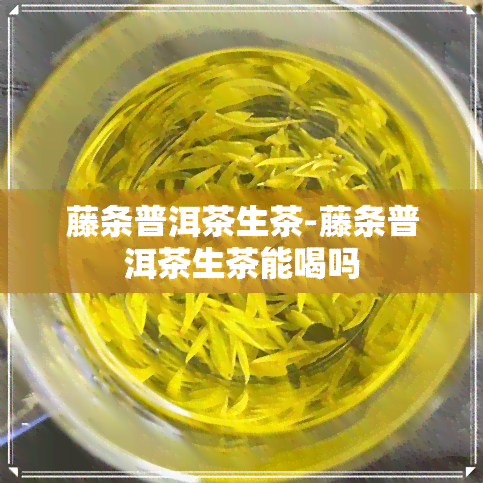 藤条普洱茶生茶-藤条普洱茶生茶能喝吗