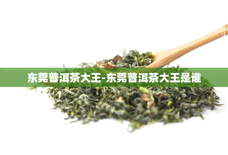 东莞普洱茶大王-东莞普洱茶大王是谁