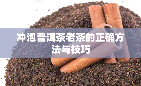 冲泡普洱茶老茶的正确方法与技巧