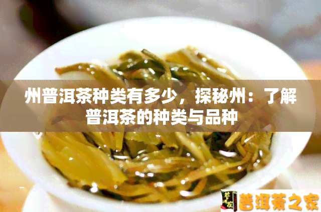 州普洱茶种类有多少，探秘州：了解普洱茶的种类与品种