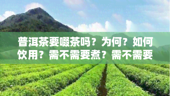 普洱茶要啜茶吗？为何？如何饮用？需不需要煮？需不需要弄碎？