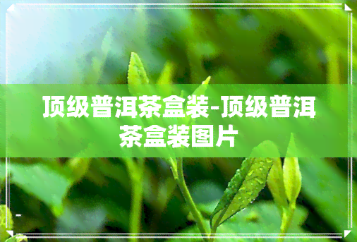 顶级普洱茶盒装-顶级普洱茶盒装图片