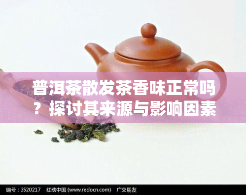 普洱茶散发茶香味正常吗？探讨其来源与影响因素