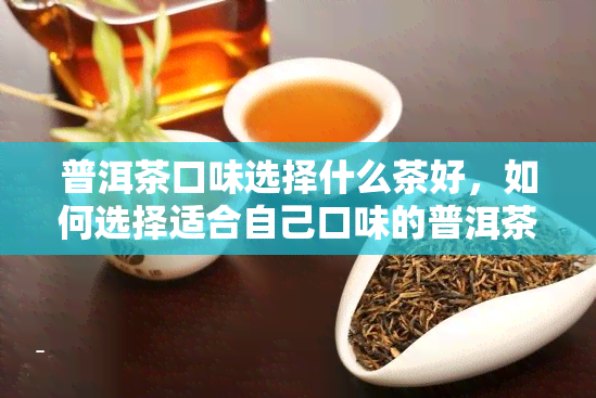 普洱茶口味选择什么茶好，如何选择适合自己口味的普洱茶？