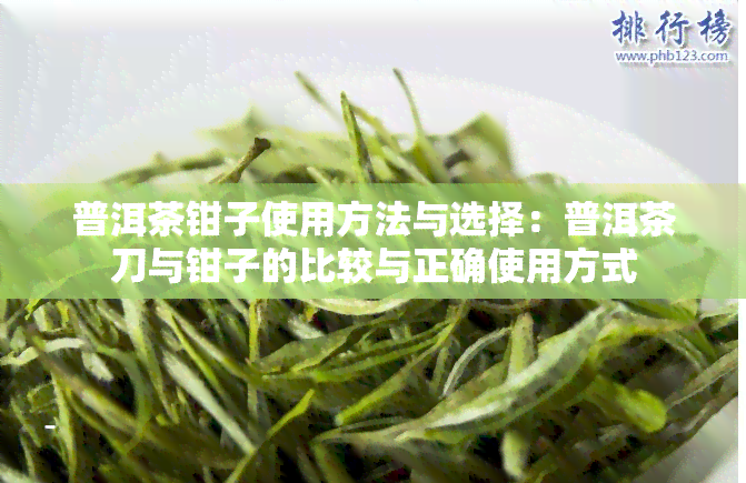 普洱茶钳子使用方法与选择：普洱茶刀与钳子的比较与正确使用方式