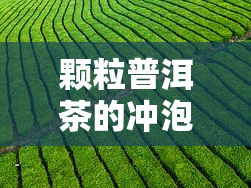 颗粒普洱茶的冲泡方法，详细解析：颗粒普洱茶的冲泡方法与技巧