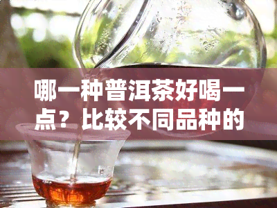 哪一种普洱茶好喝一点？比较不同品种的口感与特点