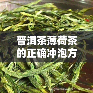 普洱茶薄荷茶的正确冲泡方法：详细步骤与技巧