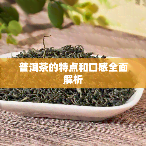 普洱茶的特点和口感全面解析