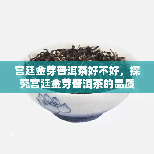 宫廷金芽普洱茶好不好，探究宫廷金芽普洱茶的品质：是否值得购买？