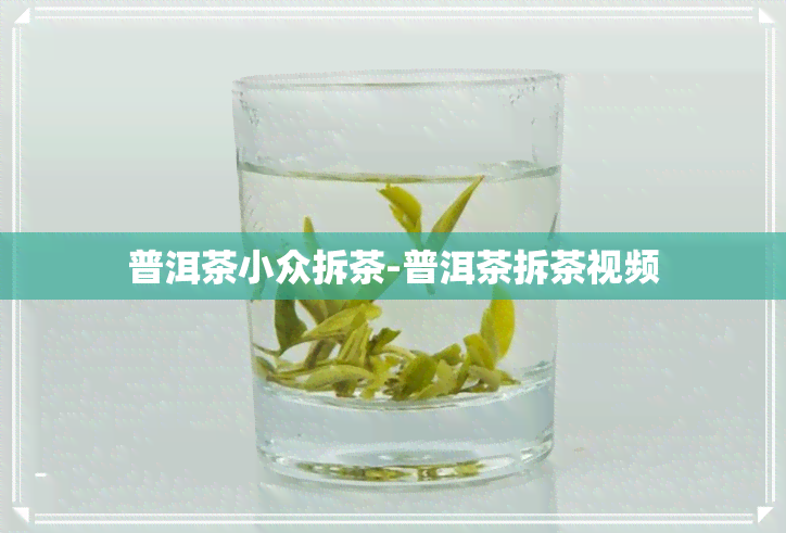 普洱茶小众拆茶-普洱茶拆茶视频