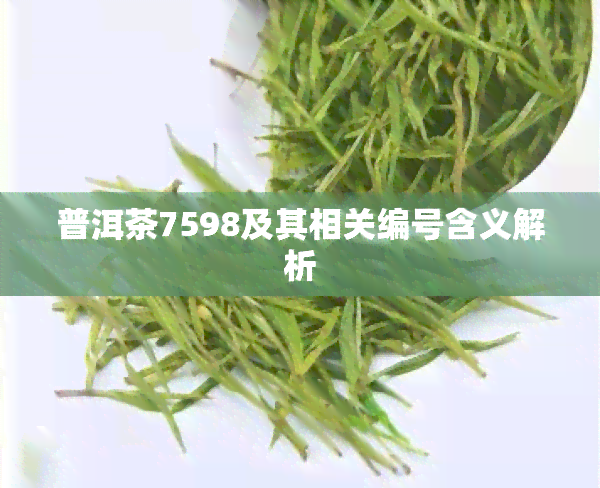 普洱茶7598及其相关编号含义解析