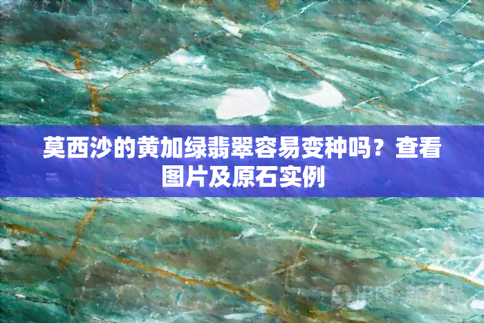 莫西沙的黄加绿翡翠容易变种吗？查看图片及原石实例