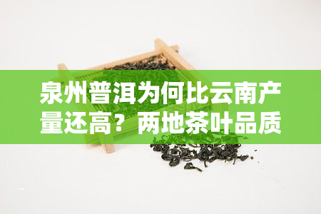 泉州普洱为何比云南产量还高？两地茶叶品质谁更胜一筹？