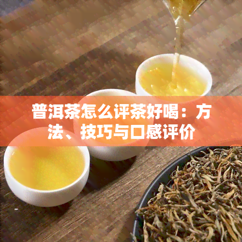 普洱茶怎么评茶好喝：方法、技巧与口感评价