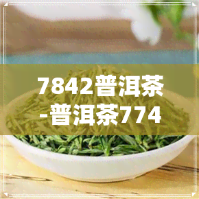 7842普洱茶-普洱茶7742