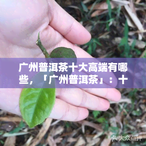 广州普洱茶十大高端有哪些，「广州普洱茶」：十大高端推荐