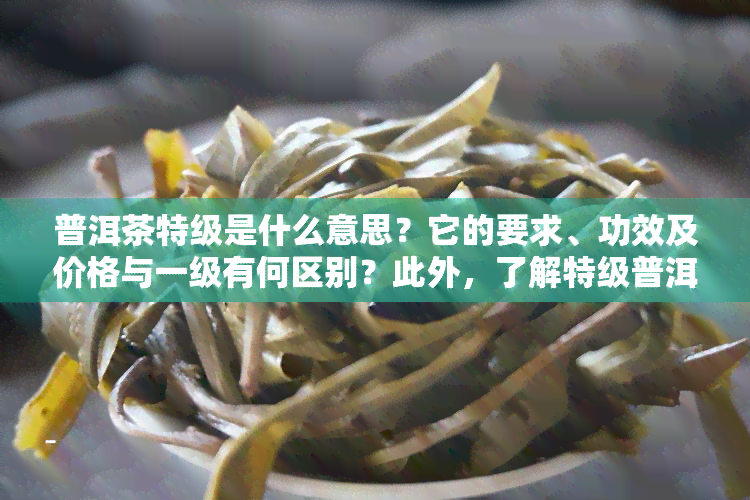 普洱茶特级是什么意思？它的要求、功效及价格与一级有何区别？此外，了解特级普洱熟茶的特点也很重要。