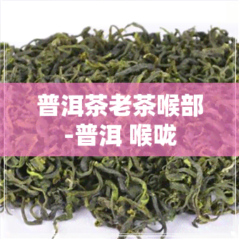 普洱茶老茶喉部-普洱 喉咙