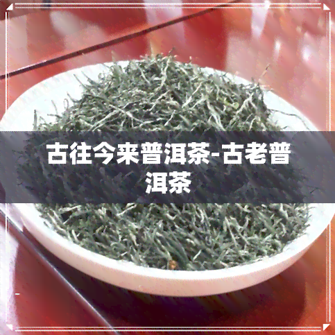 古往今来普洱茶-古老普洱茶