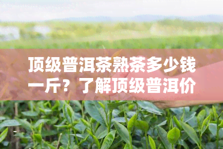 顶级普洱茶熟茶多少钱一斤？了解顶级普洱价格与普洱熟茶的价格！