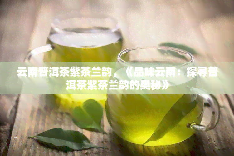 云南普洱茶紫茶兰韵，《品味云南：探寻普洱茶紫茶兰韵的奥秘》