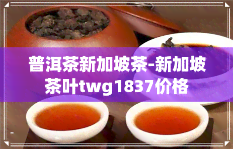 普洱茶新加坡茶-新加坡茶叶twg1837价格