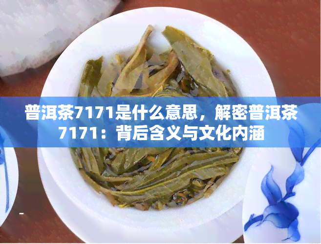 普洱茶7171是什么意思，解密普洱茶7171：背后含义与文化内涵