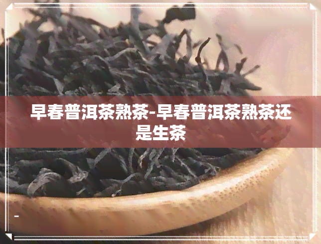 早春普洱茶熟茶-早春普洱茶熟茶还是生茶