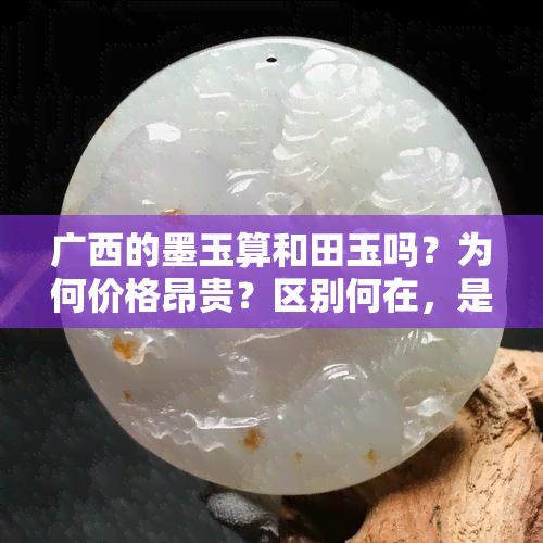 广西的墨玉算和田玉吗？为何价格昂贵？区别何在，是否有收藏价值？看原石图片